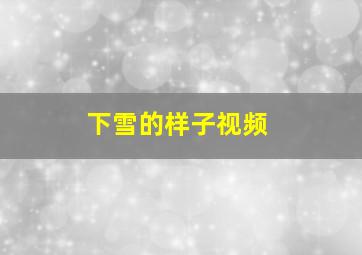 下雪的样子视频