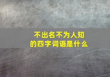 不出名不为人知的四字词语是什么