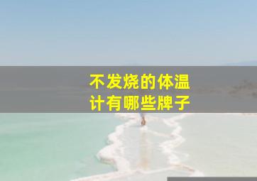 不发烧的体温计有哪些牌子