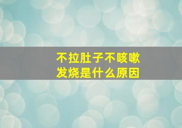 不拉肚子不咳嗽发烧是什么原因