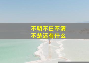 不明不白不清不楚还有什么