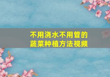 不用浇水不用管的蔬菜种植方法视频