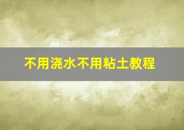 不用浇水不用粘土教程