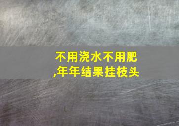 不用浇水不用肥,年年结果挂枝头