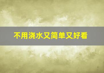 不用浇水又简单又好看