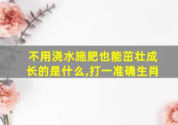 不用浇水施肥也能茁壮成长的是什么,打一准确生肖