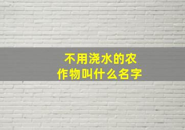 不用浇水的农作物叫什么名字