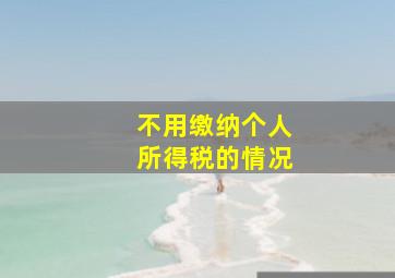 不用缴纳个人所得税的情况