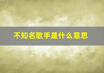 不知名歌手是什么意思