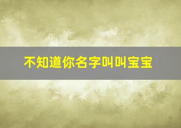 不知道你名字叫叫宝宝