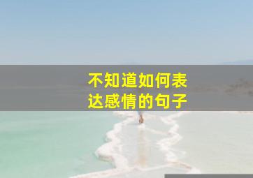 不知道如何表达感情的句子