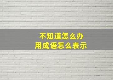 不知道怎么办用成语怎么表示