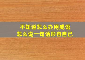 不知道怎么办用成语怎么说一句话形容自己