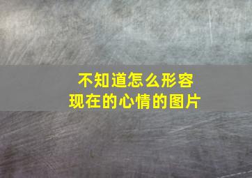 不知道怎么形容现在的心情的图片