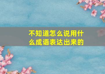 不知道怎么说用什么成语表达出来的