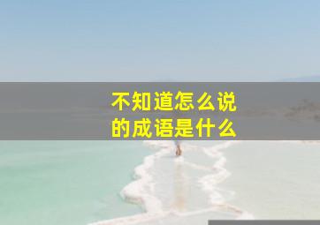 不知道怎么说的成语是什么