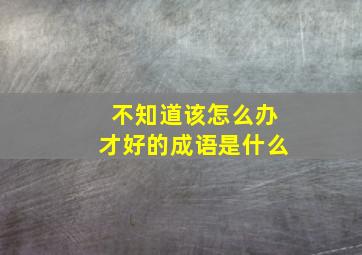 不知道该怎么办才好的成语是什么