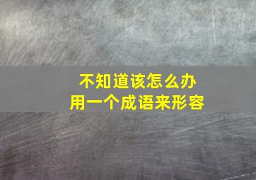 不知道该怎么办用一个成语来形容