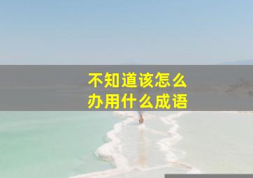 不知道该怎么办用什么成语