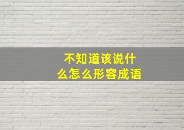 不知道该说什么怎么形容成语