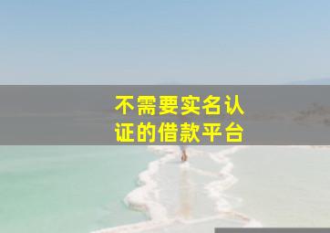 不需要实名认证的借款平台