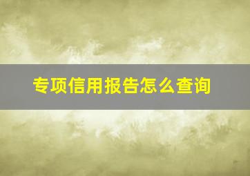 专项信用报告怎么查询