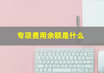 专项费用余额是什么