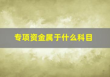 专项资金属于什么科目