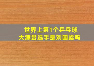 世界上第1个乒乓球大满贯选手是刘国梁吗