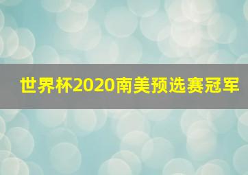 世界杯2020南美预选赛冠军