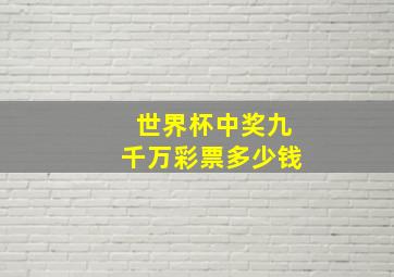 世界杯中奖九千万彩票多少钱