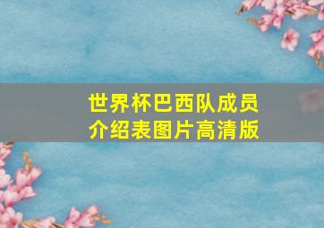 世界杯巴西队成员介绍表图片高清版