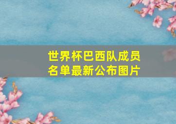 世界杯巴西队成员名单最新公布图片