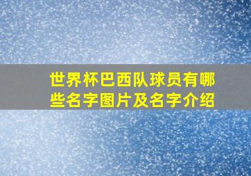 世界杯巴西队球员有哪些名字图片及名字介绍