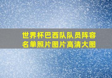 世界杯巴西队队员阵容名单照片图片高清大图