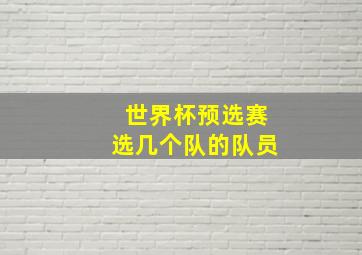 世界杯预选赛选几个队的队员