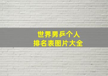 世界男乒个人排名表图片大全