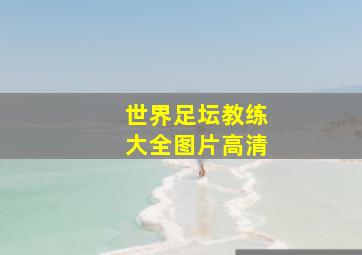 世界足坛教练大全图片高清