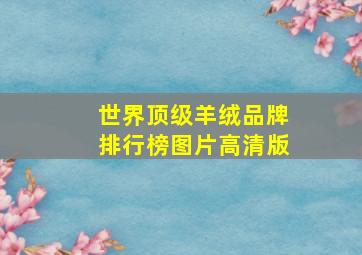 世界顶级羊绒品牌排行榜图片高清版