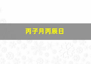 丙子月丙辰日