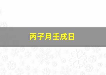 丙子月壬戌日