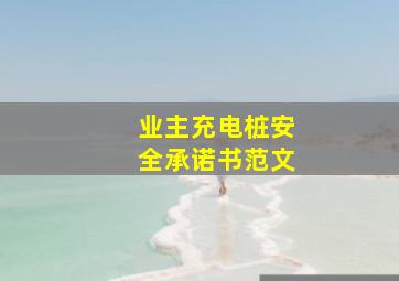 业主充电桩安全承诺书范文