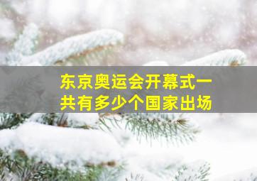 东京奥运会开幕式一共有多少个国家出场