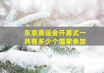 东京奥运会开幕式一共有多少个国家参加