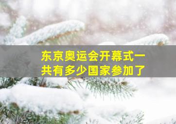 东京奥运会开幕式一共有多少国家参加了