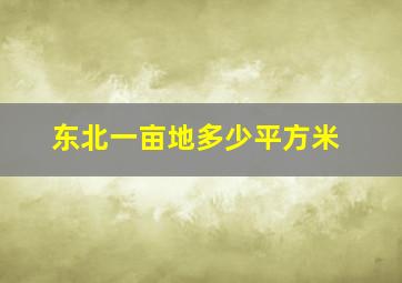 东北一亩地多少平方米