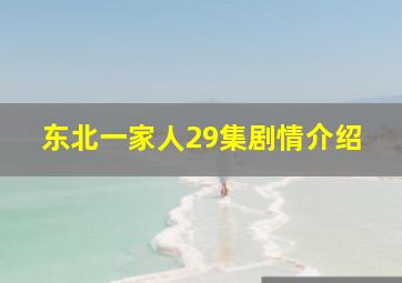 东北一家人29集剧情介绍