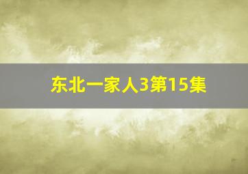 东北一家人3第15集