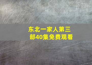 东北一家人第三部40集免费观看