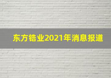 东方锆业2021年消息报道